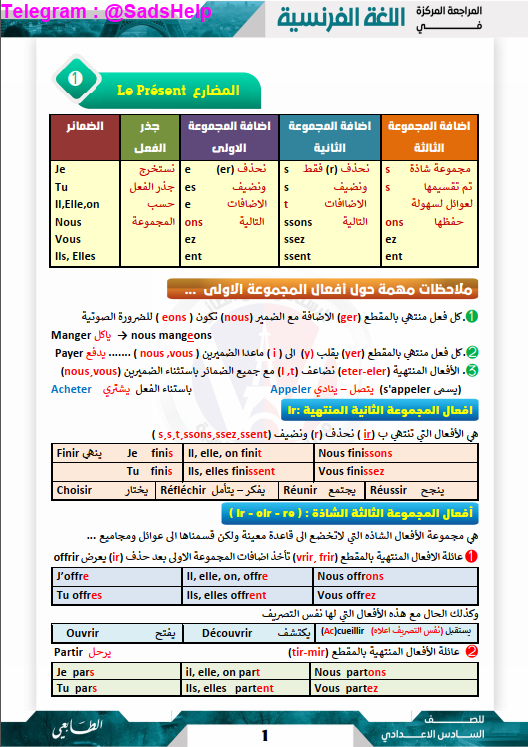ملزمة مراجعة مركزة فرنسي وقاص الطائي السادس العلمي 2025 PDF